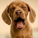 Janet Goolsby Owen - @moocow1130 - Instagram