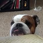 Janice McDow Goolsby - @janice.m.goolsby - Instagram