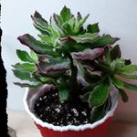 Jan Grabowski - @janekk470 - Instagram