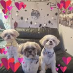 Jane Grant - @jane.grant3 - Instagram