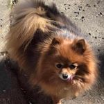 Jane Dennis Grantham - @jane.grantham - Instagram