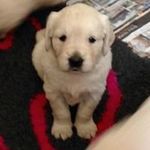 Jane N Paul Grantham - @paul.grantham78 - Instagram