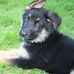 Jane Greening - Facebook