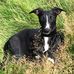 Jane Greening - Facebook
