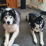 Pamela Jane Greening - @greening989 - Instagram