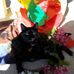 Janet Grafenstein - Facebook