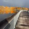 janegrewe - @jane.grewe5 - TikTok