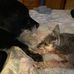 Jane Griebel - Facebook