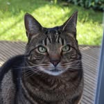 Jane Grieves - @jcgrieves - Instagram