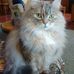 Jane Griggs - Facebook