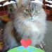 Jane Griggs - Facebook