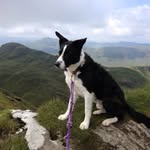 Jane Grimley - @grimleyjane - Instagram