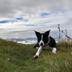 Jane Grimley - Facebook