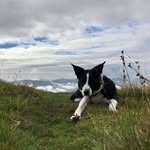 Jane Grimley - @mjanelbg - Instagram