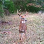 Jane and Lawrence Grimm - @deerfallranch_oklahoma - Instagram
