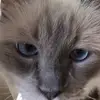 jane grimm - @janegrimm1 - TikTok