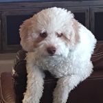 Jane M Grimm - @janemgrimm - Instagram