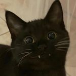 Victoria Jane Grimwood - @victoriajanegrim - Instagram