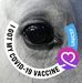Jane Grindley - Facebook