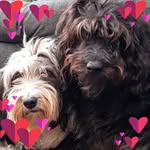Jane Grindley - @grindleyjane - Instagram