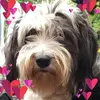 janegrindley - @janegrindley - TikTok