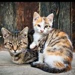 Jane Roberts Grogan - @robertsgrogan - Instagram