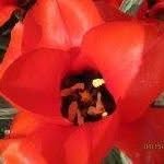 Jane Grosenbacher - @janegrosenbacher - Instagram