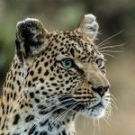 Jane Gross Photography - @janegrossphotography_sales - Instagram