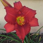 Jane Grove - @jlg0511 - Instagram