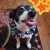 Jane Groves - Facebook