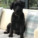 Jane Groves - @grovesjane - Instagram