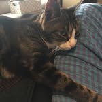 Jane Groves - @janegroves50 - Instagram