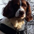 Jane Grundy - Facebook