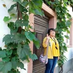 Jane Guan - @jjgtol_1479 - Instagram