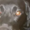 jane guilfoyle - @jane.guilfoyle90 - TikTok