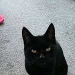 Jane W Guilfoyle - @janewguilfoyle - Instagram