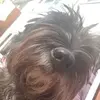 janeguilfoyle10 - @janeguilfoyle10 - TikTok