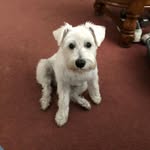 Janet Guilfoyle Gsell - @guilfoylegsell - Instagram