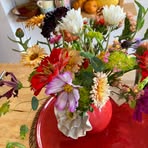 Jane Gunning - Facebook