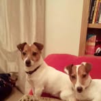Jane Gunning - Facebook