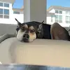 guntherjane - @guntherjane - TikTok