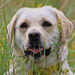 Jane Günther - @janegunther2 - Instagram
