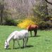 Jane Gustafson - Facebook