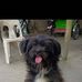 Jane Gutierrez - Facebook