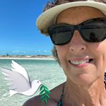 Jane Ewoldt Haase - @haase_jane - Instagram