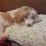 JANE HACKMAN PERCILLA - @janehackman00 - Instagram