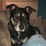 Jane Hagan - @jollyjane67 - Instagram