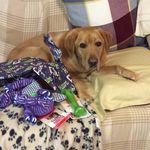 Jane Hagan - @hagan535 - Instagram