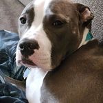 Jane Hagedorn - @jhagedorn10 - Instagram