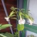 Jane Hagedorn Nielsen - Facebook